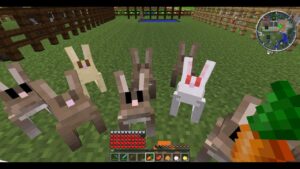 Como Domesticar un Conejo en Minecraft