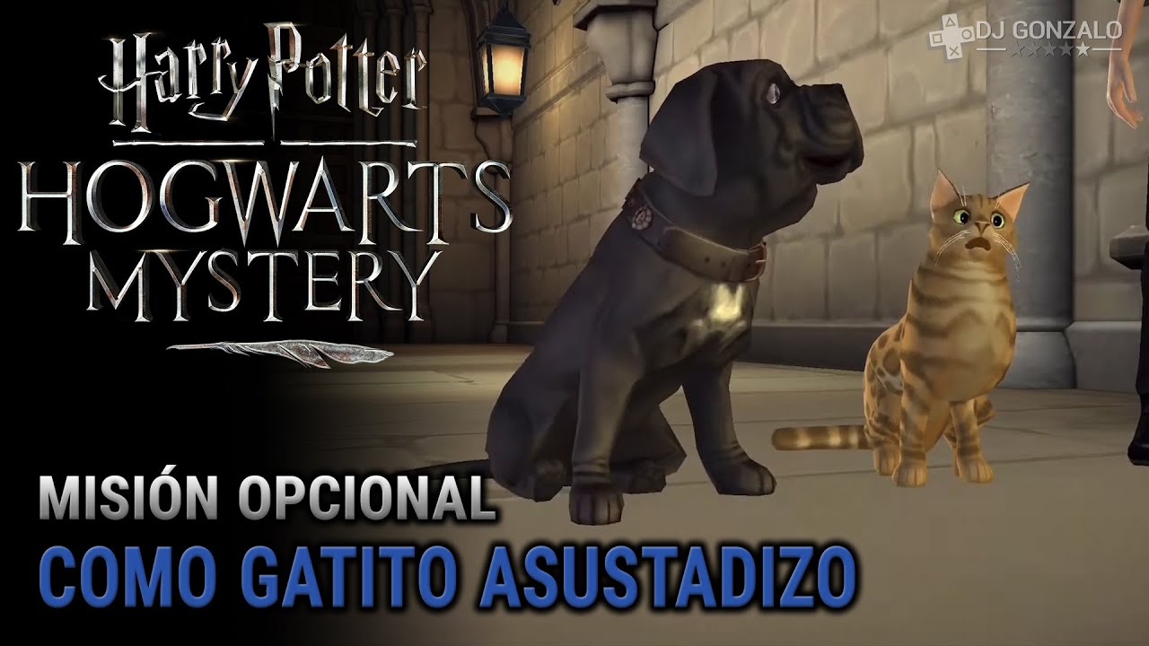 Como gatito asustadizo Harry Potter Hogwarts Mystery