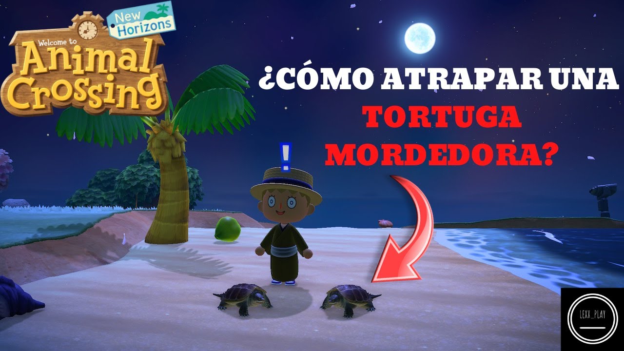 Cómo Conseguir Tortugas en Animal Crossing New Horizons