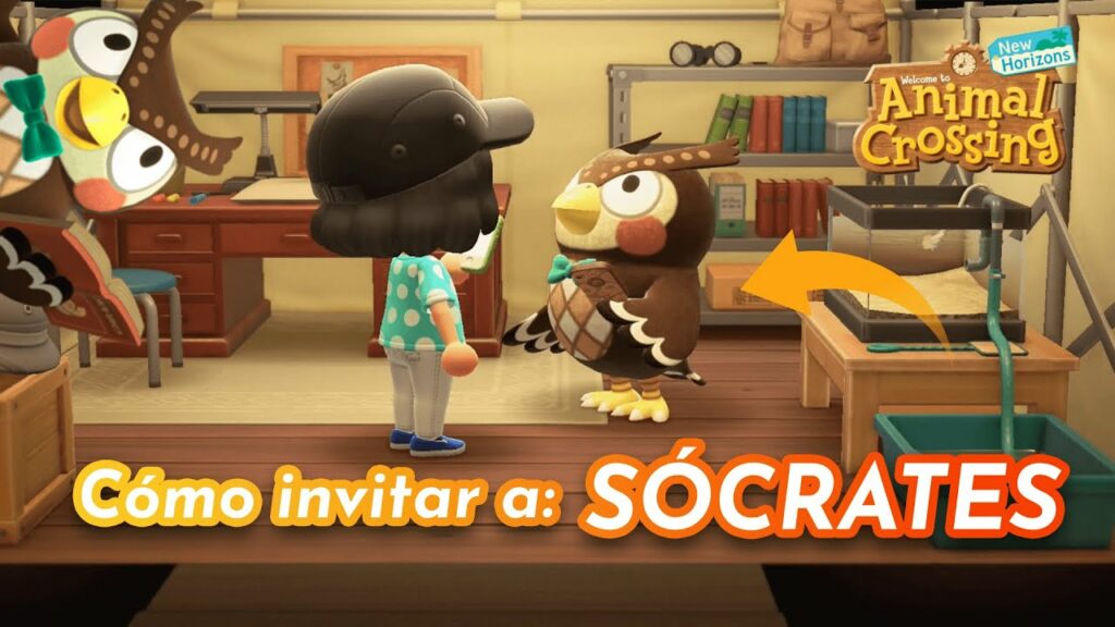 Cómo Conseguir a Sócrates en Animal Crossing