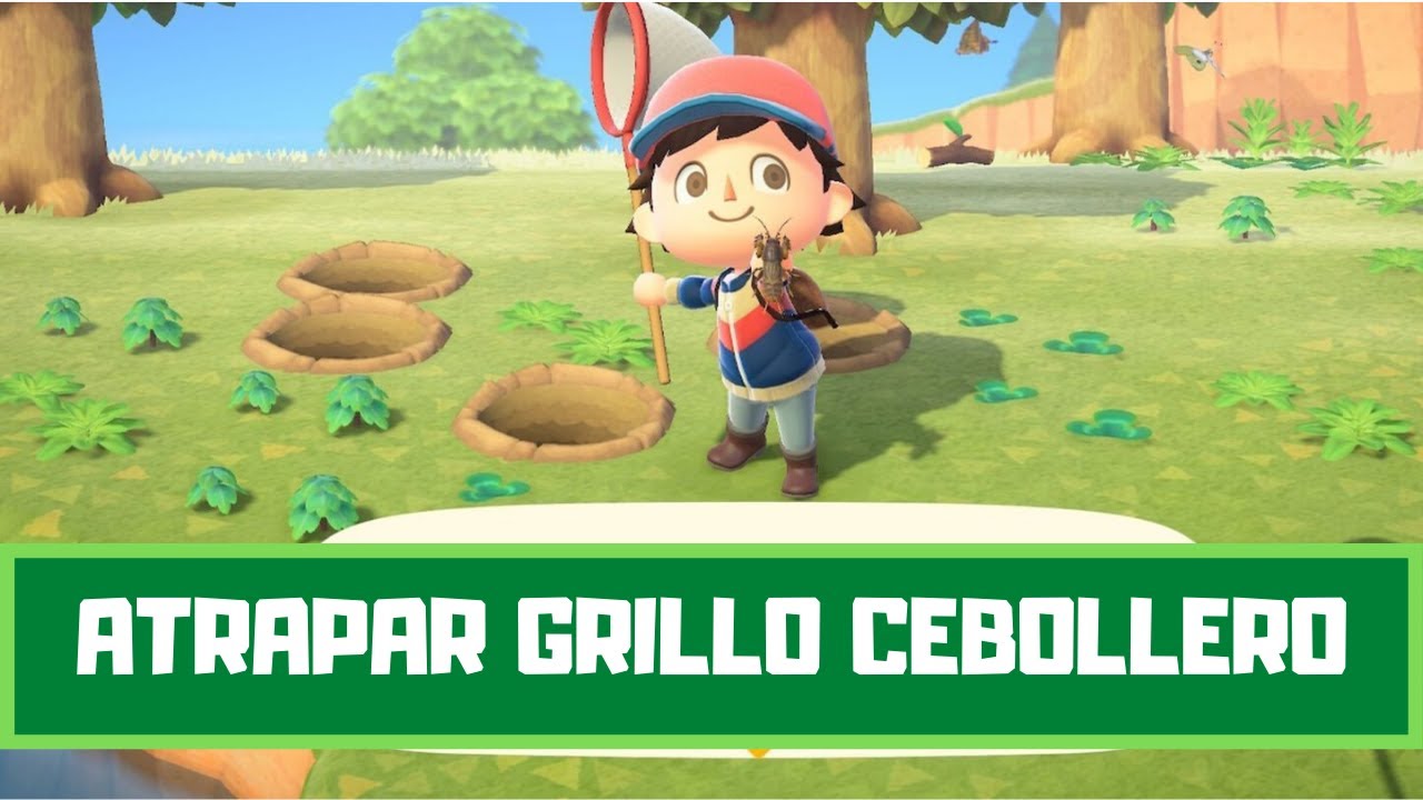 Cómo Conseguir el Grillo Cebollero en Animal Crossing