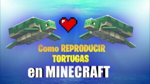 Cómo Reproducir Tortugas en Minecraft