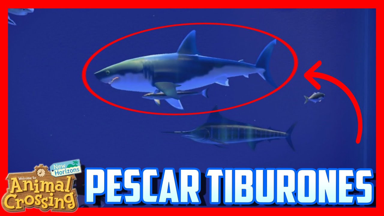 Cómo conseguir tiburones en Animal Crossing New Horizons